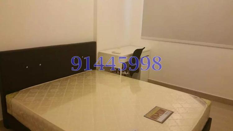 Suites @ Braddell (D13), Apartment #168641852